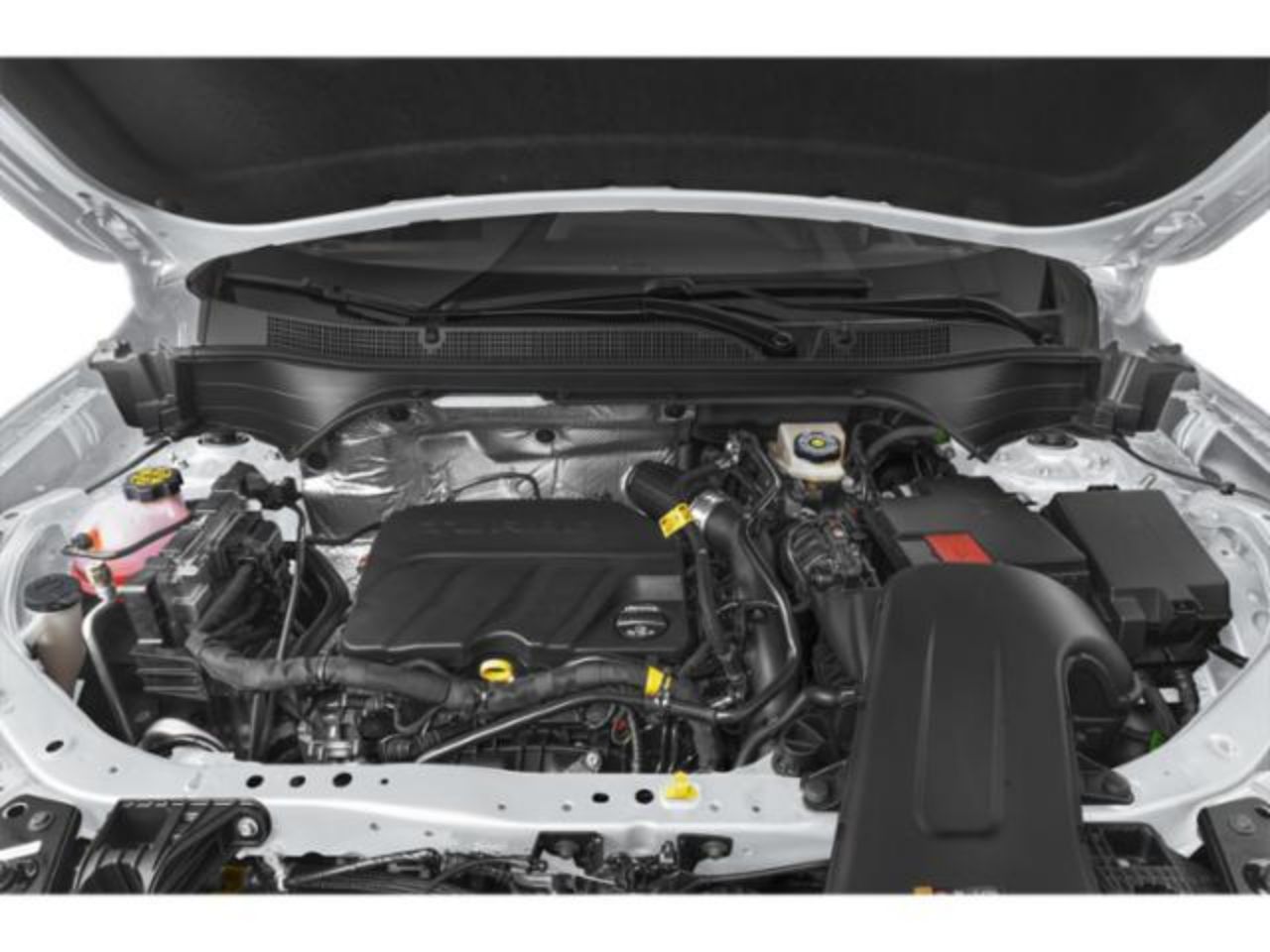 Showcase Image