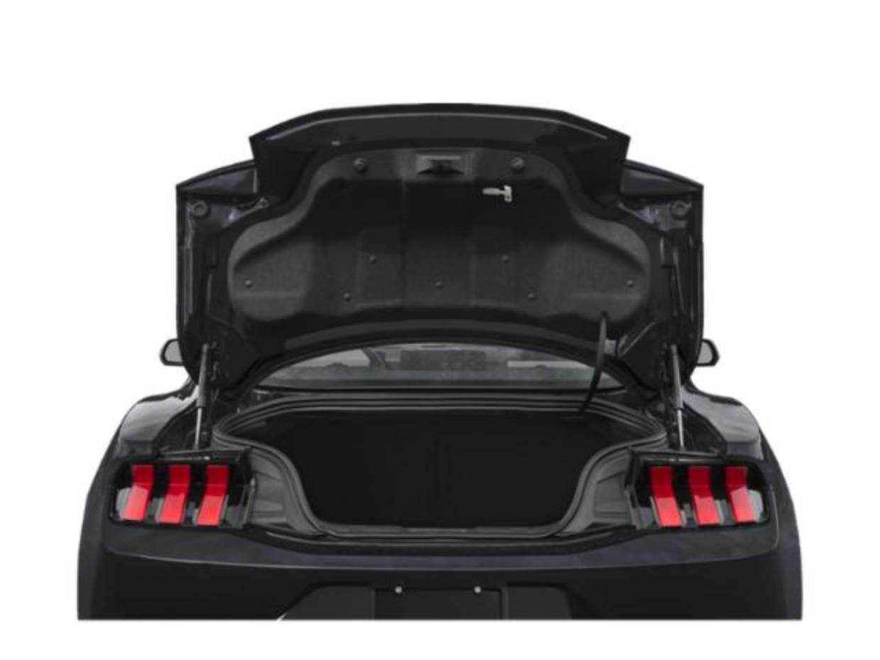 2026 Ford Mustang EcoBoost Fastback - Photo 11