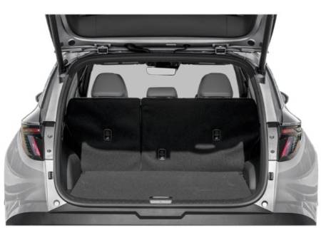 Showcase Image
