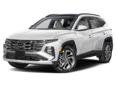 Showcase Image