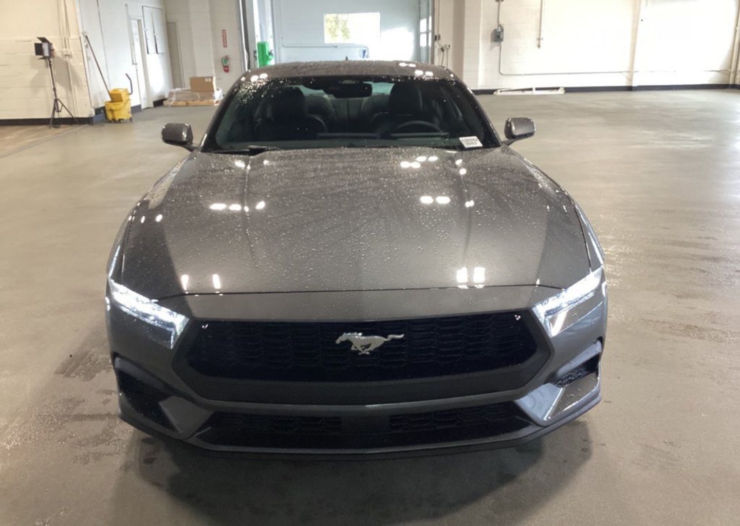 2026 Ford Mustang EcoBoost Premium Fastback - Photo 9