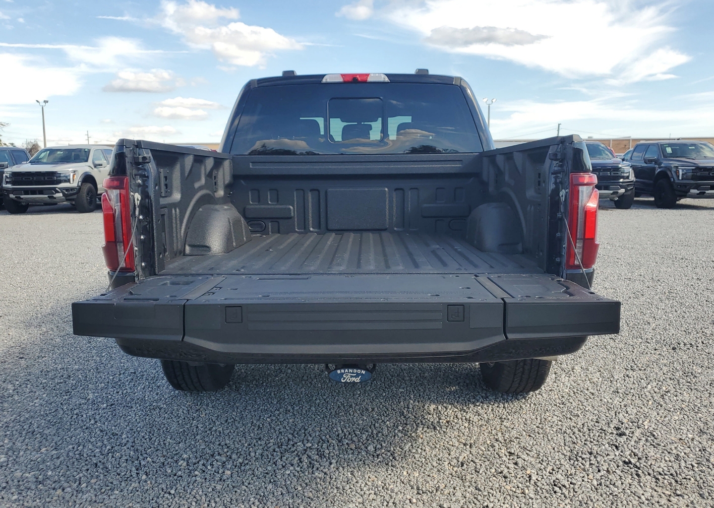 2026 Ford F-150 Platinum - Photo 10