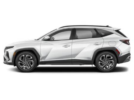 Showcase Image