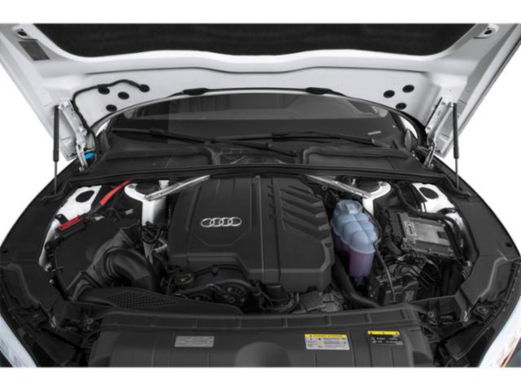 Showcase Image