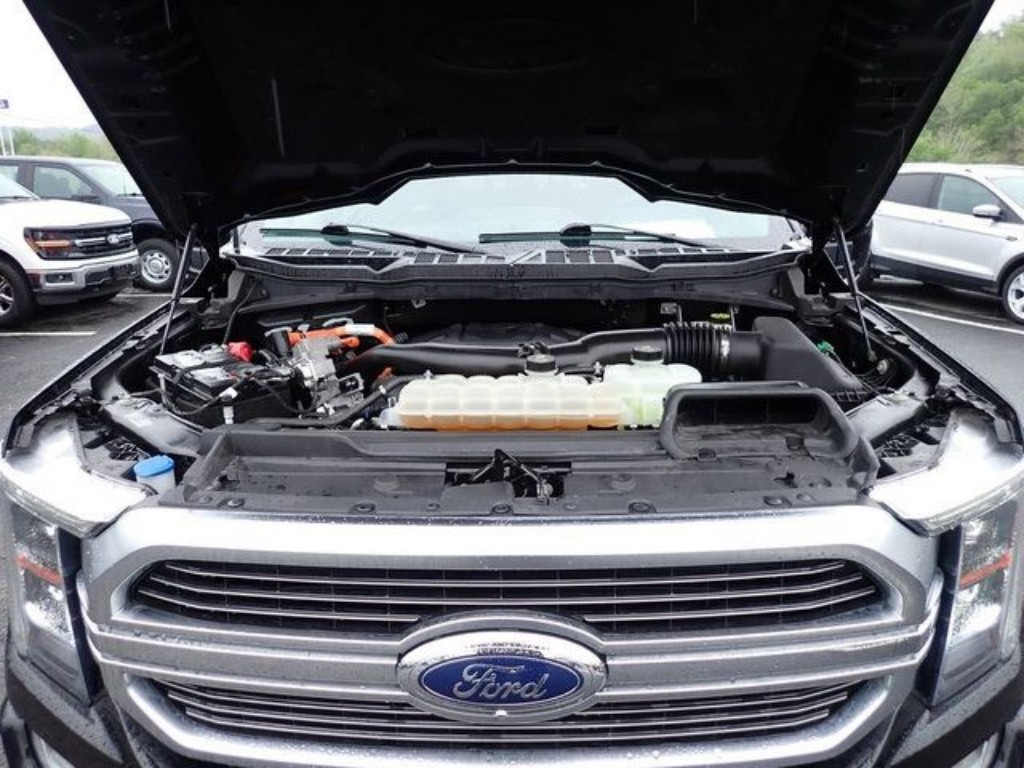 Showcase Image