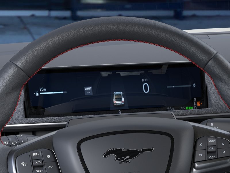 Showcase Image