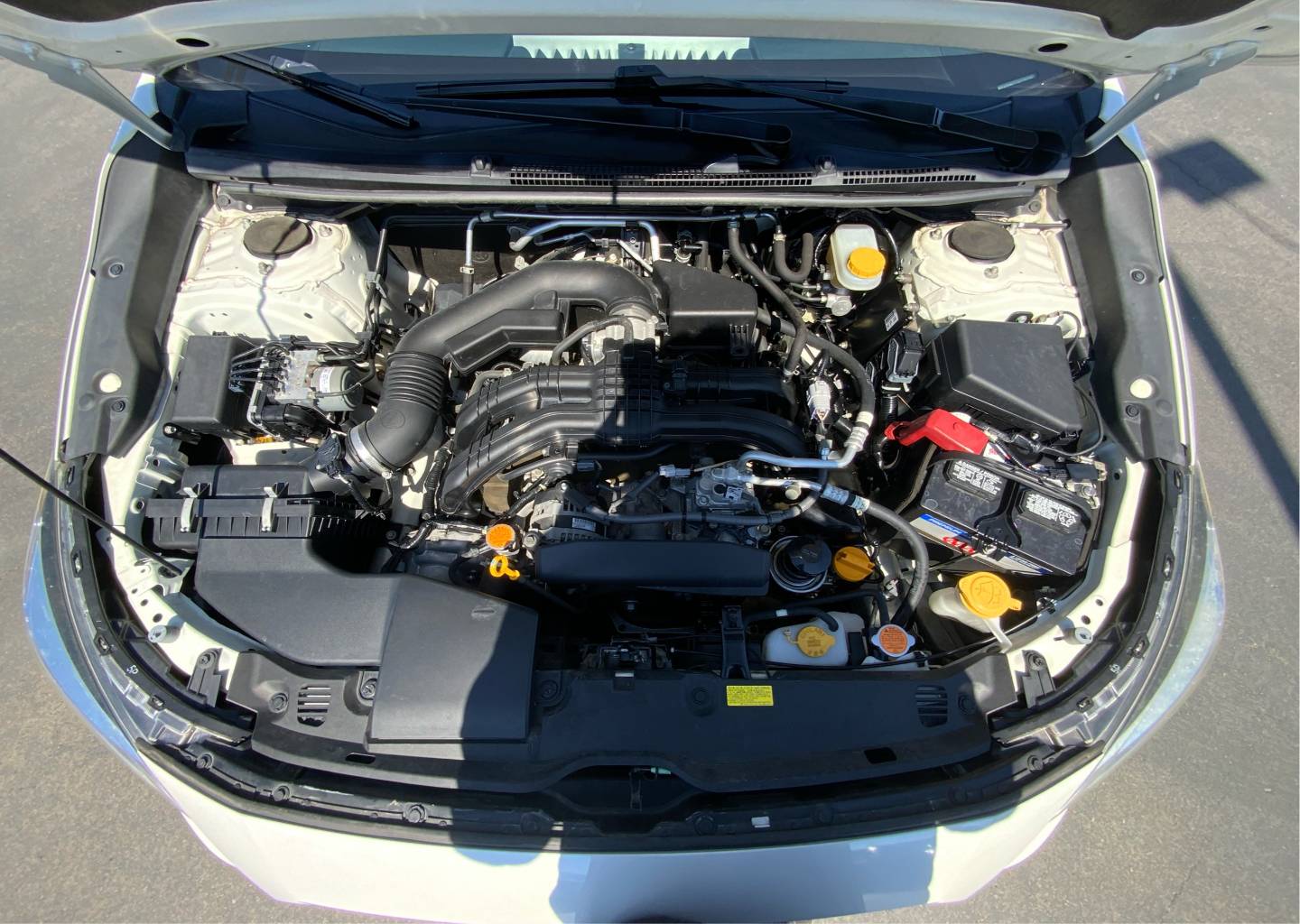Photo 25