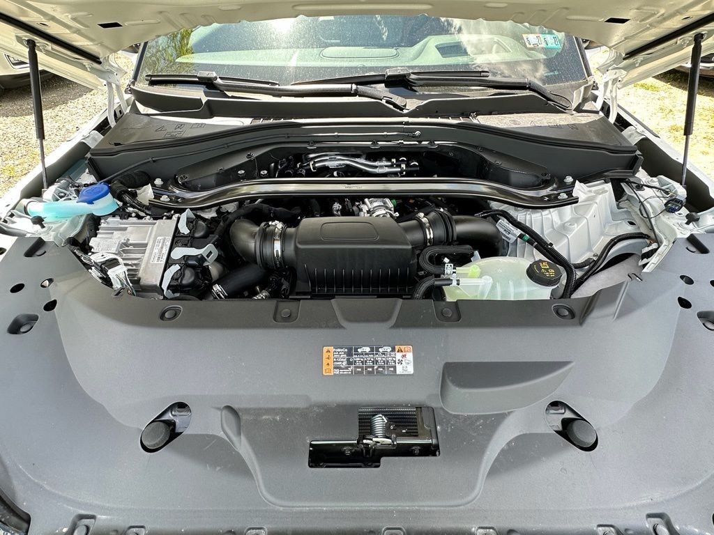 Showcase Image