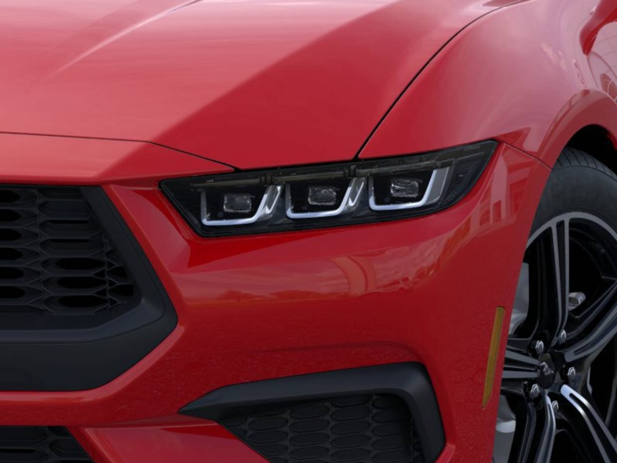 2025 Ford Mustang EcoBoost Fastback - Photo 18