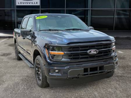 2025 Ford F-150 XLT Black Pack