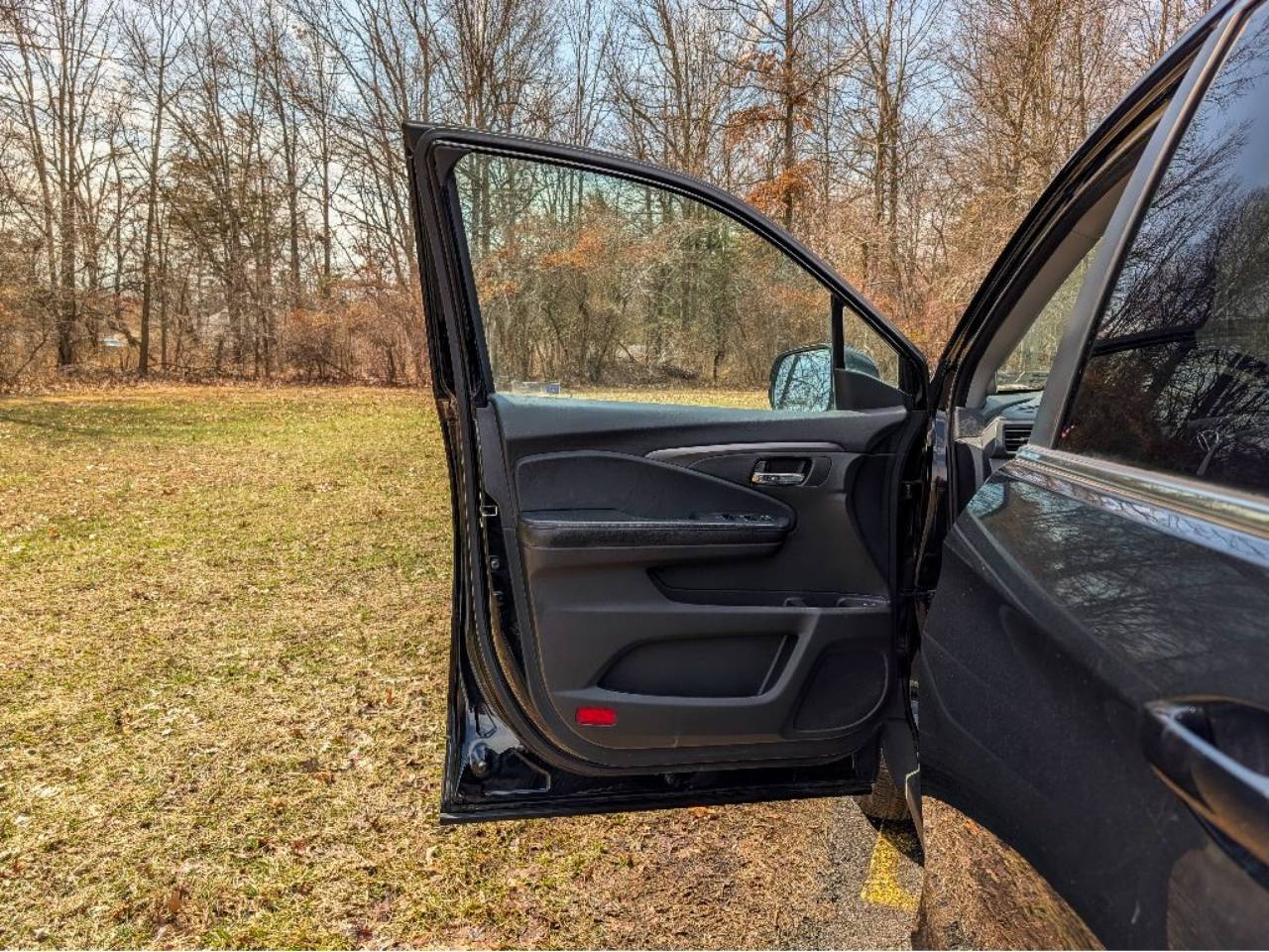 2017 Honda Pilot EX-L - Photo 10