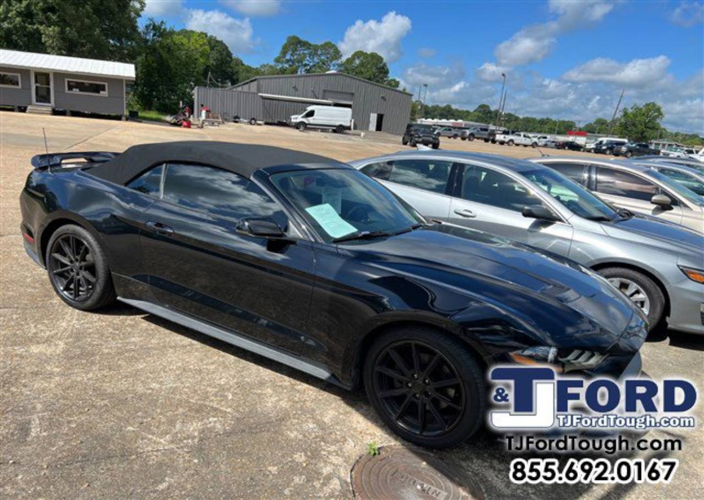 2019 Ford Mustang