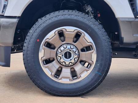 Showcase Image