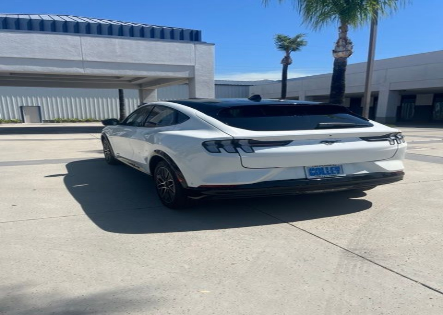 Used 2024 Ford Mustang Mach-E Premium AWD with VIN 3FMTK3S50RMA23530 for sale in Glendora, CA