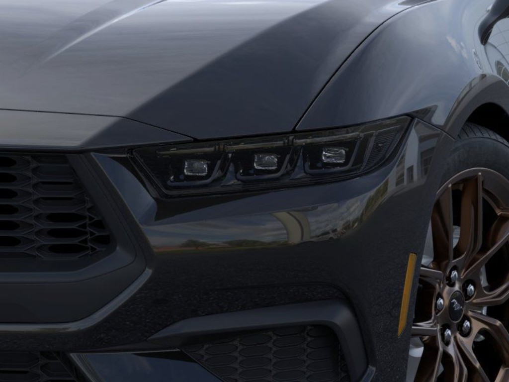 Showcase Image