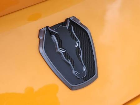 Showcase Image