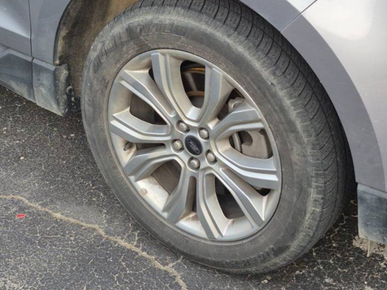 Photo 6
