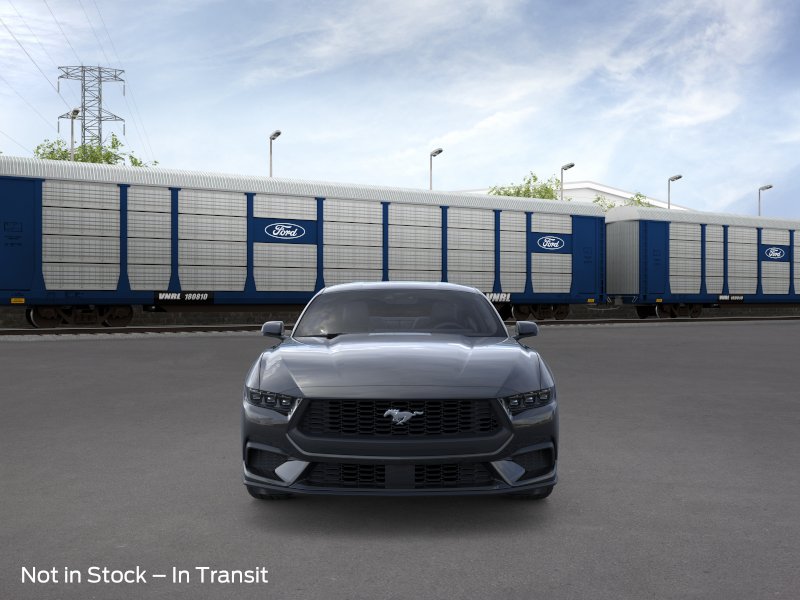Showcase Image