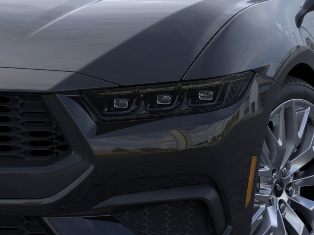 Showcase Image