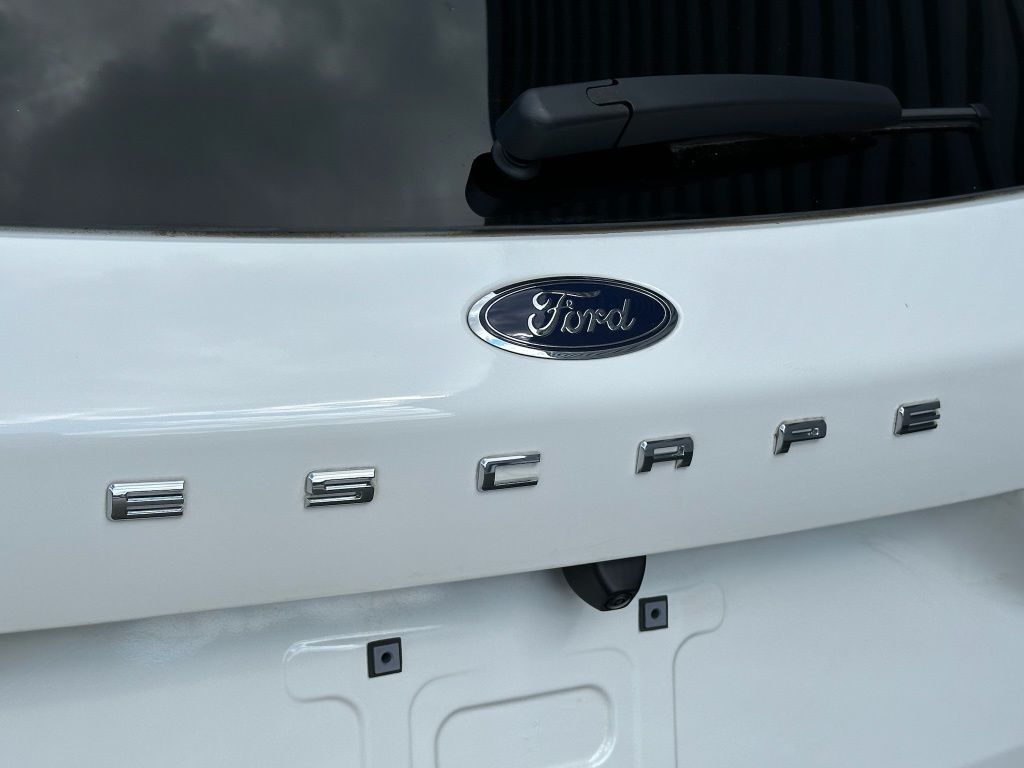 Showcase Image