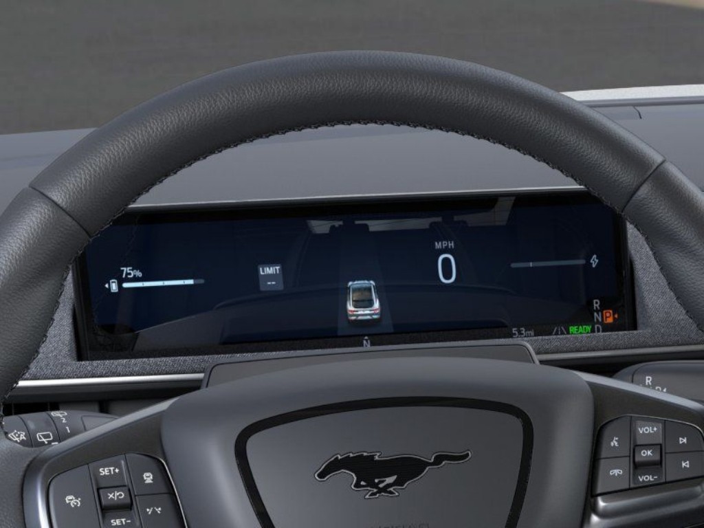 Showcase Image