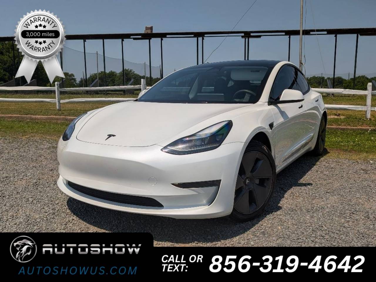 2023 Tesla Model 3 -'s photo