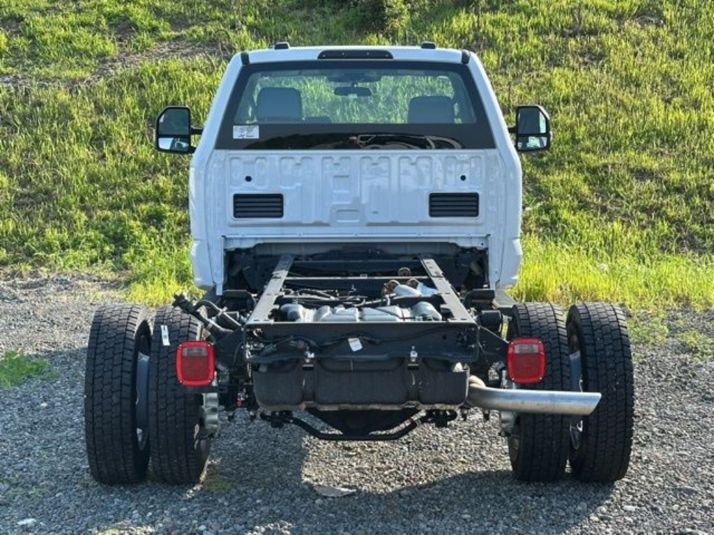 Showcase Image