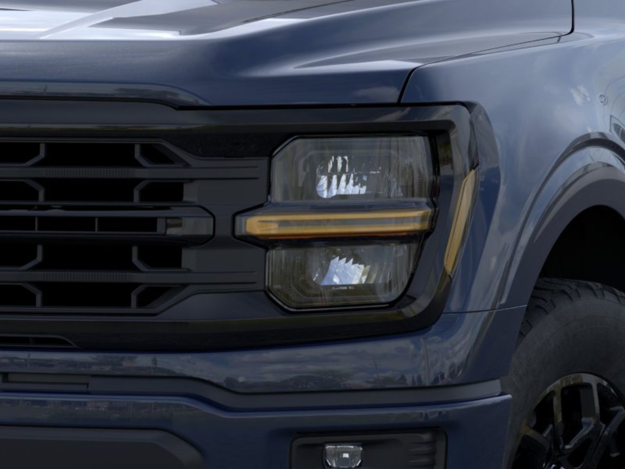 Showcase Image