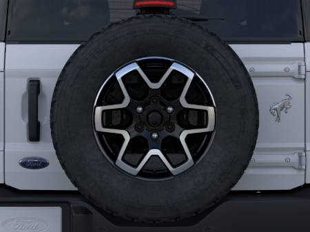Showcase Image