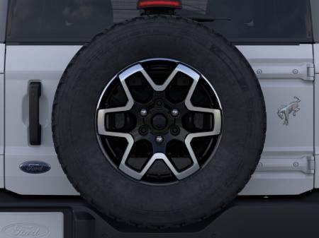 Showcase Image