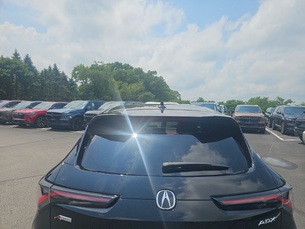 Showcase Image