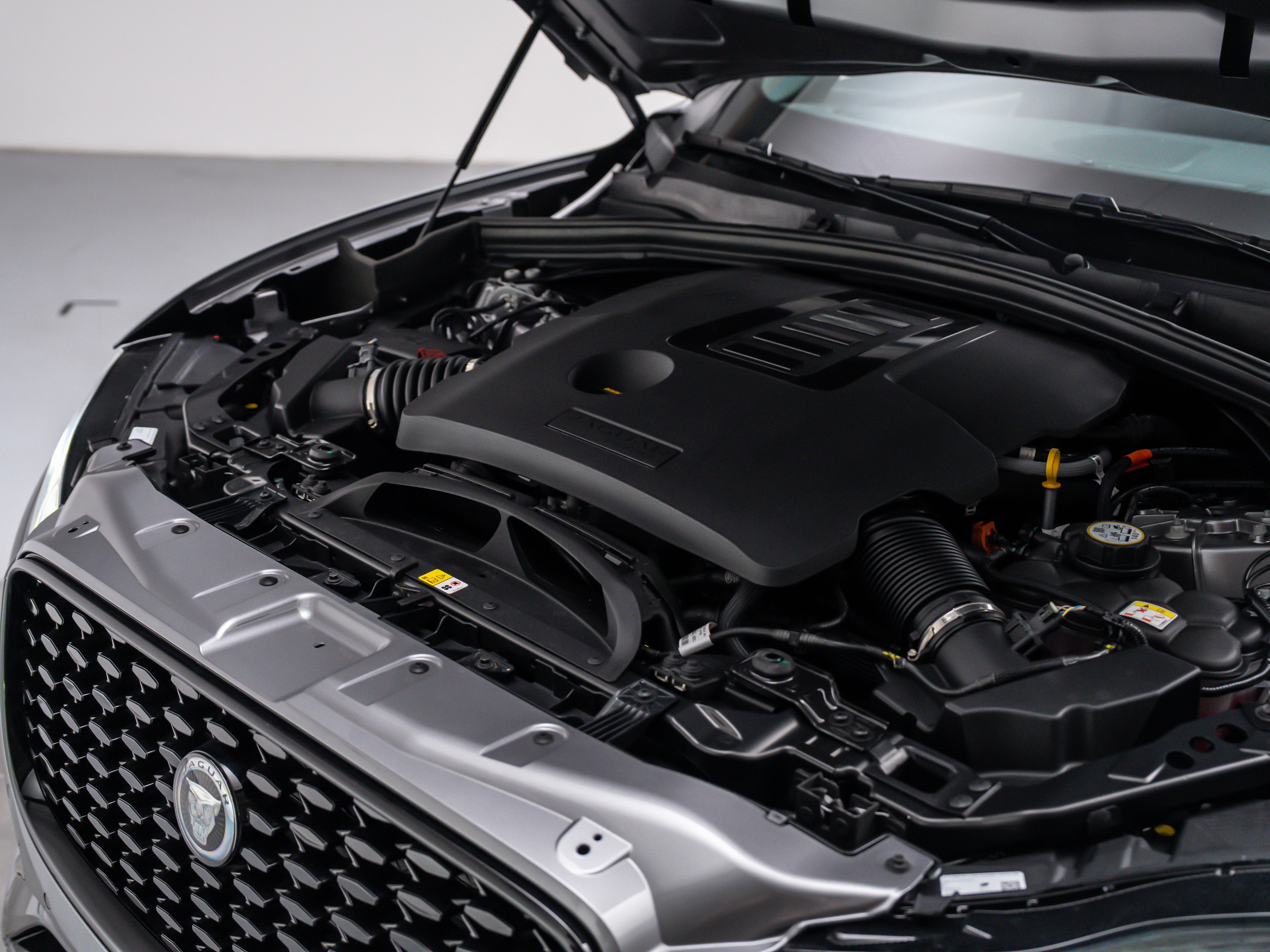 2025 Jaguar F-PACE R-Dynamic S - Photo 11