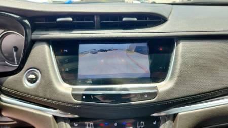Showcase Image