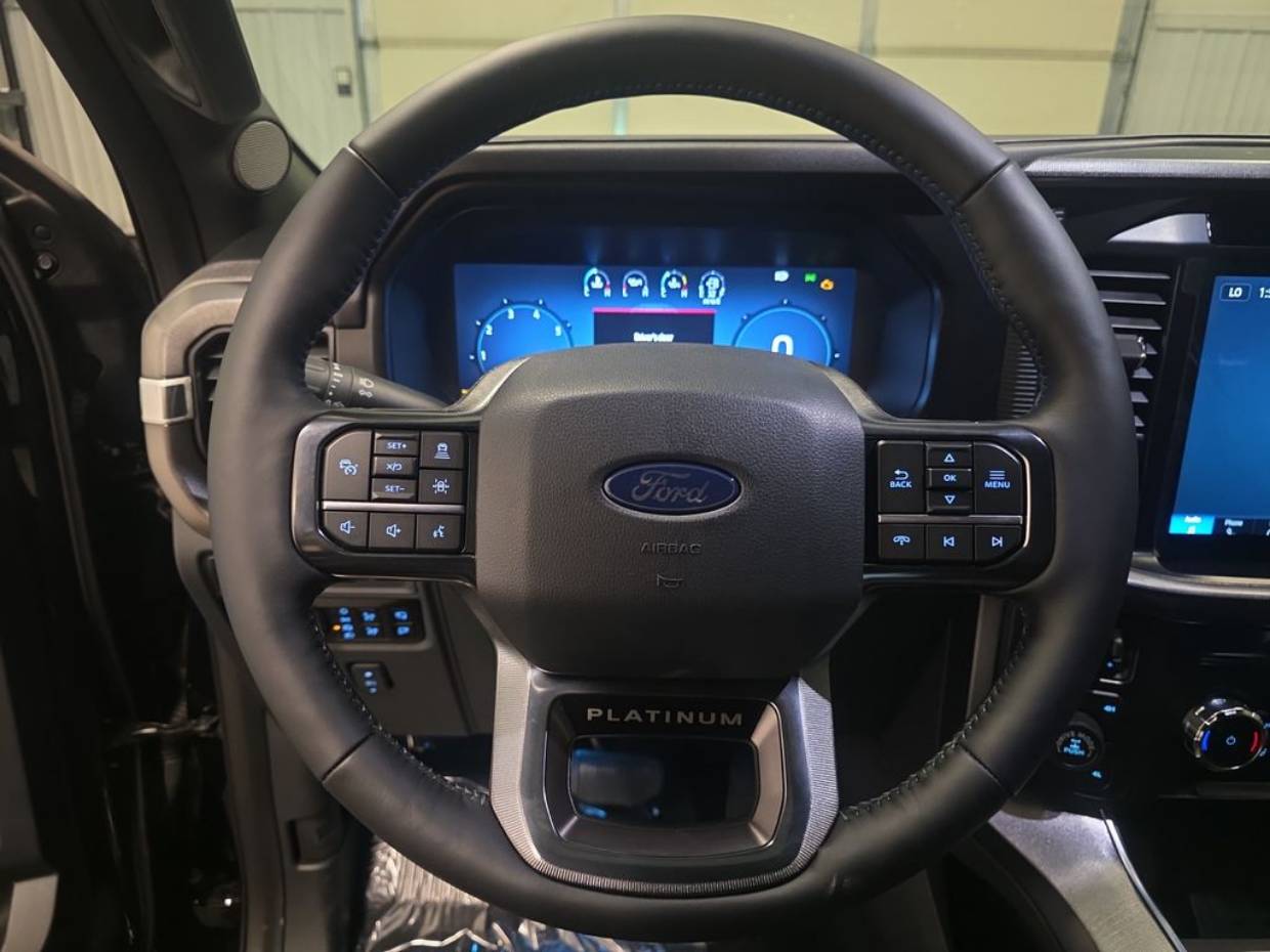 2025 Ford F-150 Platinum - Photo 16