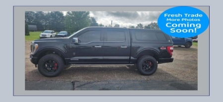 2022 Ford F-150 Platinum