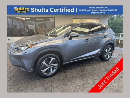 2020 Lexus NX 300H