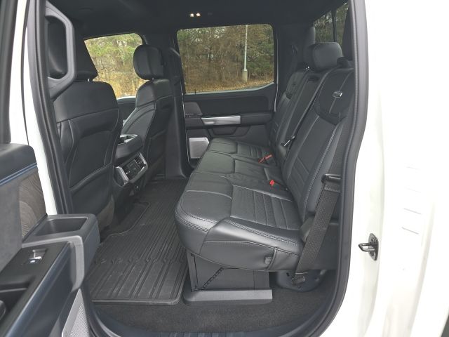 2025 Ford F-250 Super Duty Platinum - Photo 7