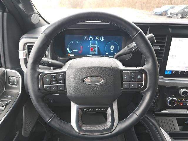 2025 Ford F-250 Super Duty Platinum - Photo 9
