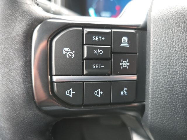 2025 Ford F-250 Super Duty Platinum - Photo 25