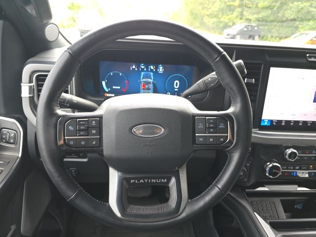 2025 Ford F-250 Super Duty Platinum - Photo 8