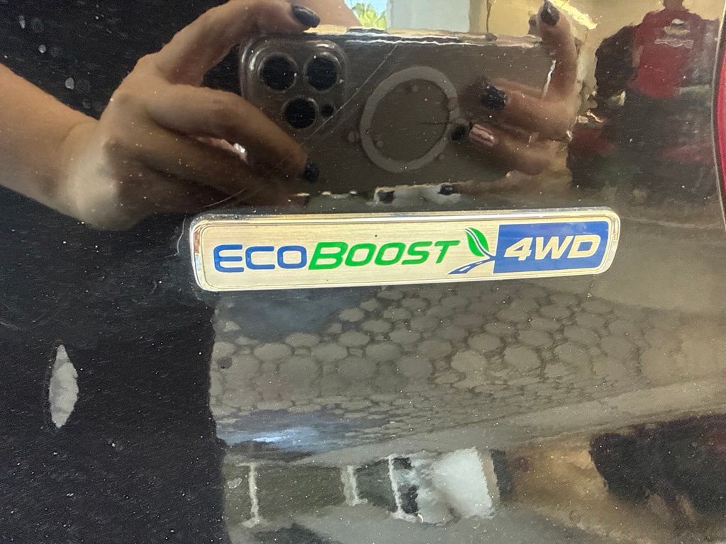 Showcase Image