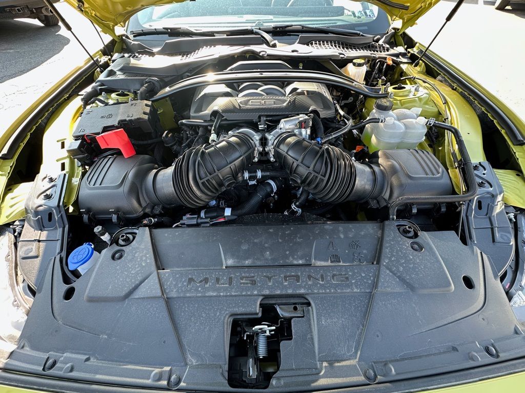 Showcase Image