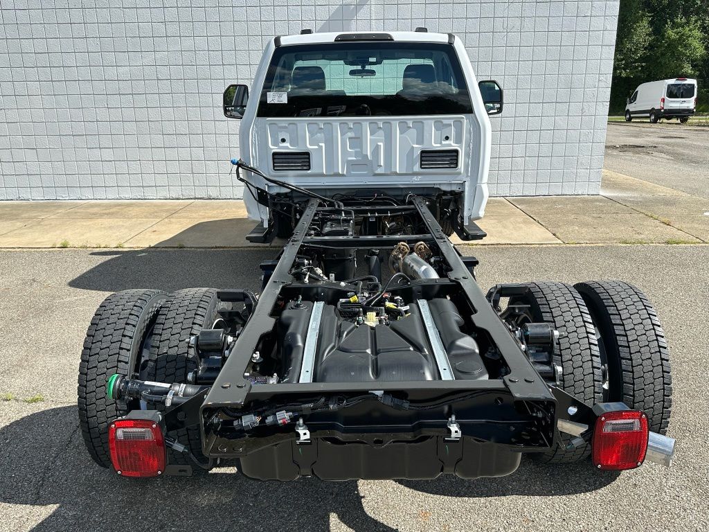 Showcase Image