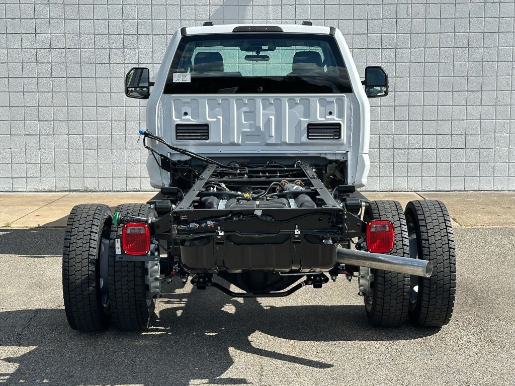 Showcase Image