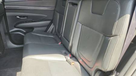 Showcase Image