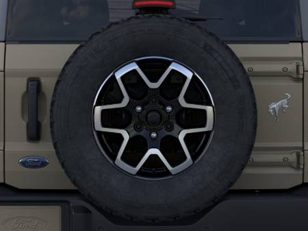 Showcase Image