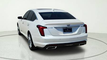Showcase Image
