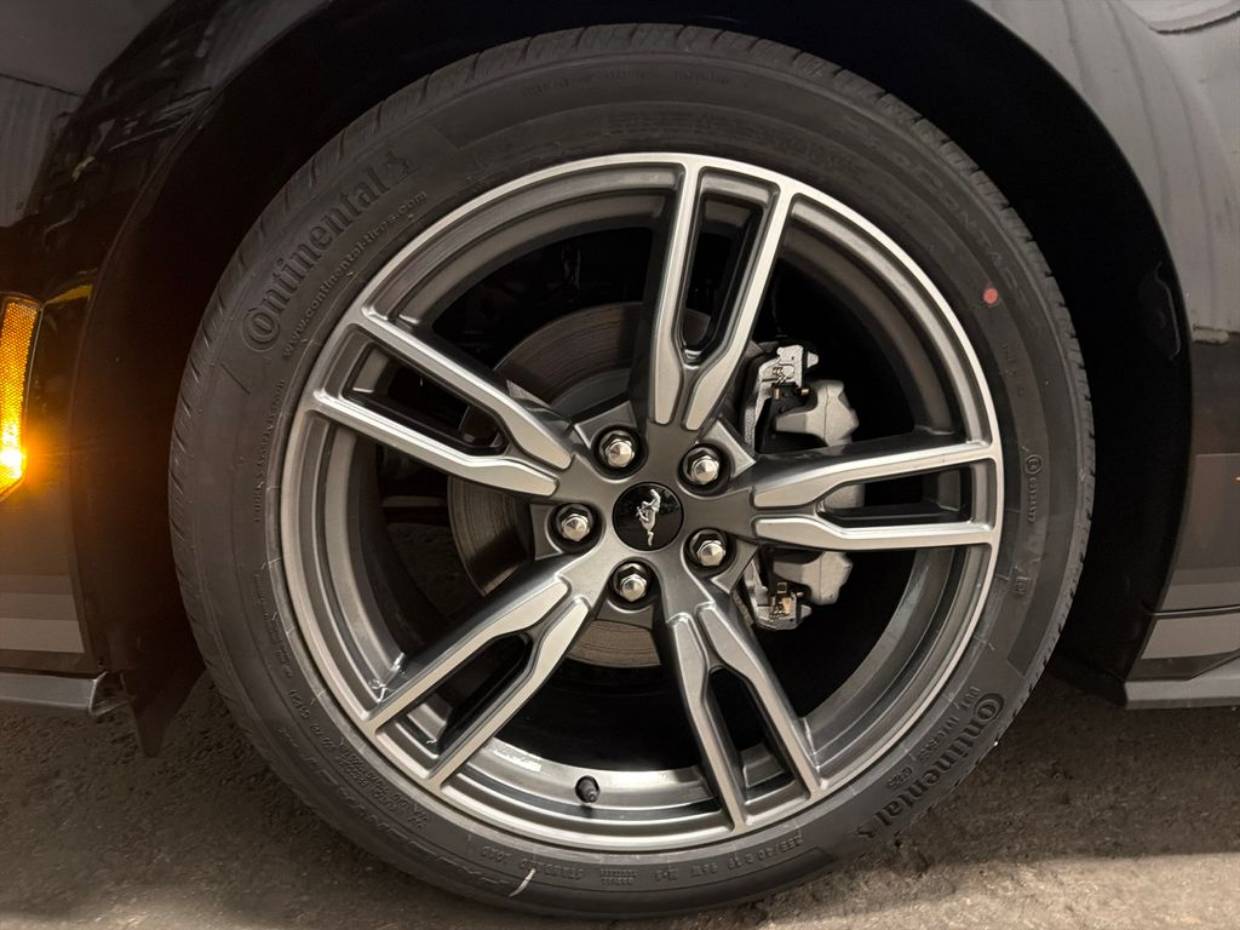 2025 Ford Mustang EcoBoost Premium Fastback - Photo 7
