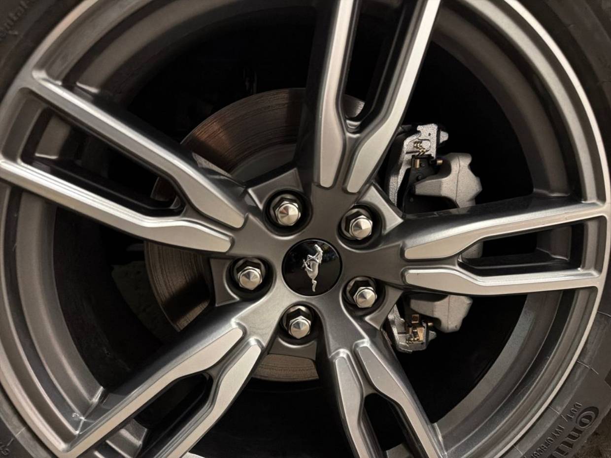 2025 Ford Mustang EcoBoost Premium Fastback - Photo 8