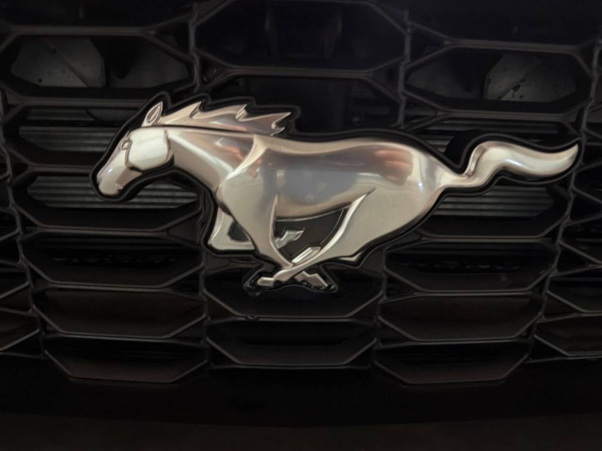 2025 Ford Mustang EcoBoost Premium Fastback - Photo 9